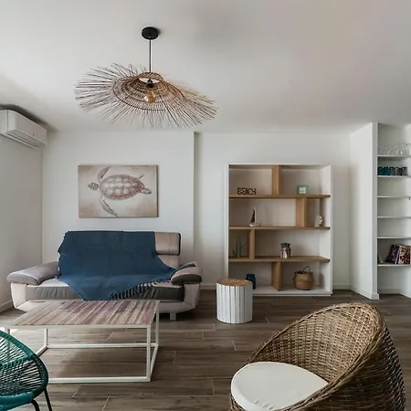 Duplex 6 Pers Proche Ocean, Centre, Wifi, Animaux Ok - Fr-1-521-2 Biscarrosse-Plage